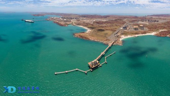 种更高维度 种更高维度