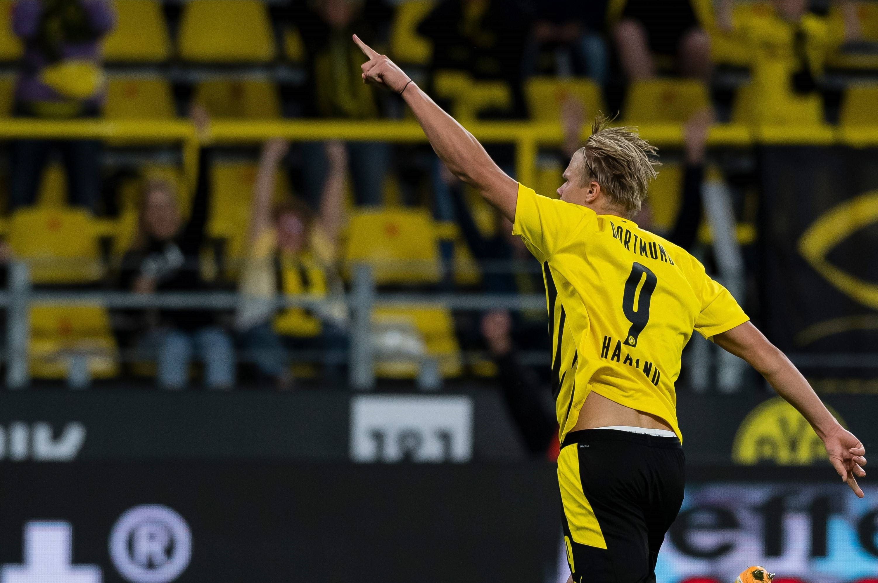 将直接决定 将直接决定